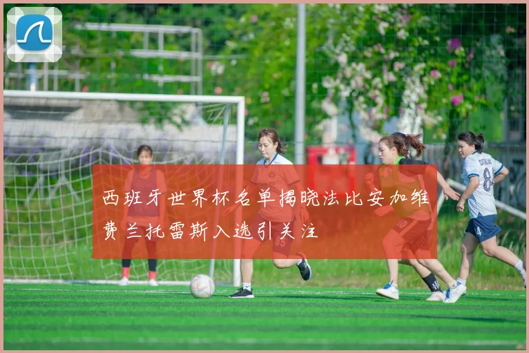 西班牙世界杯名单揭晓法比安加维费兰托雷斯入选引关注